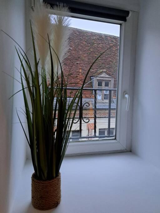 Confortable Studio Renove Kamerrijk Buitenkant foto